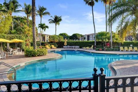 a view of a backyard with plants