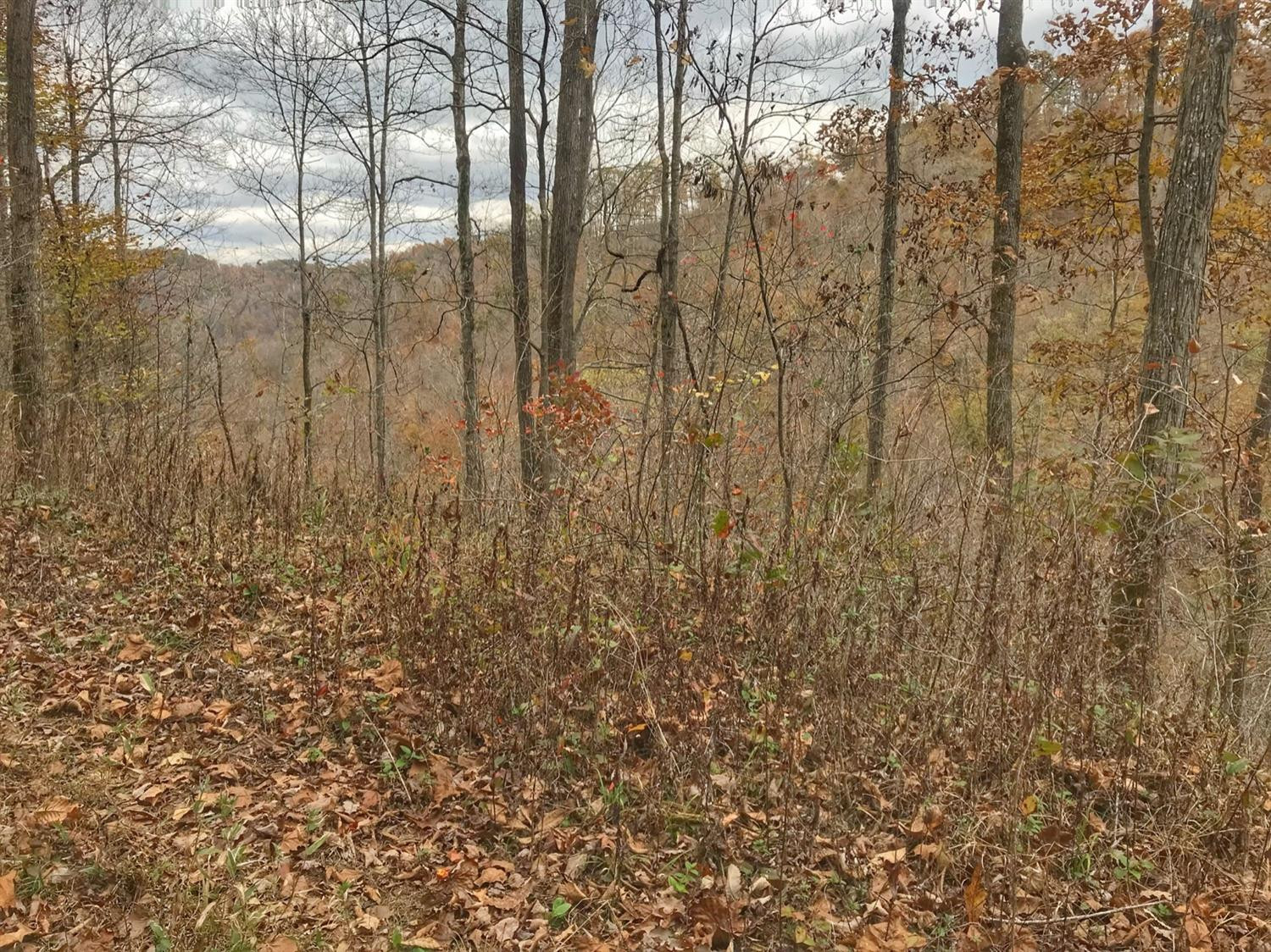 889 South Fork Road Stanton, KY 40380 - Photo 6 of 19 Photo 6