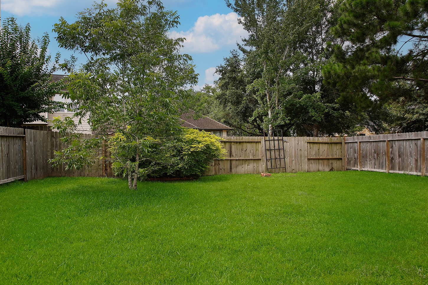 19 Patina Pines Place Spring, TX 77381 - Photo 27 of 27