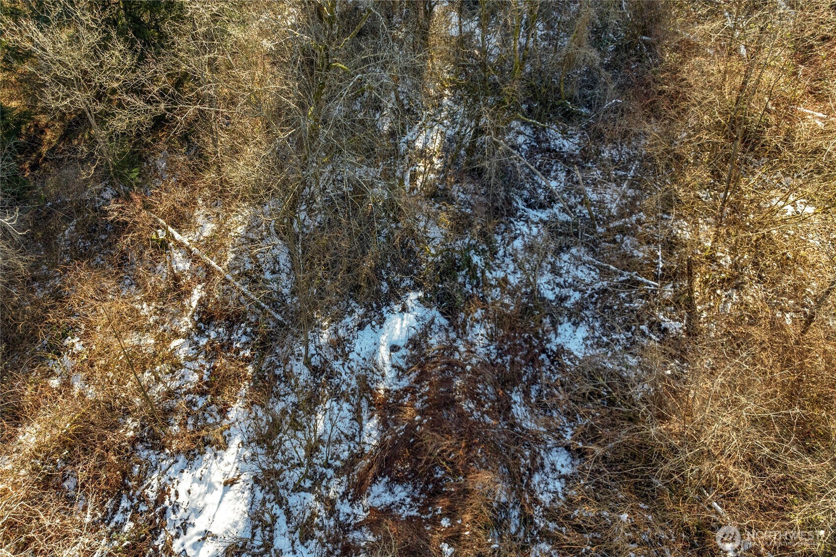 5-xx 158th Street Southeast Bothell, WA 98012 - Photo 12 of 12