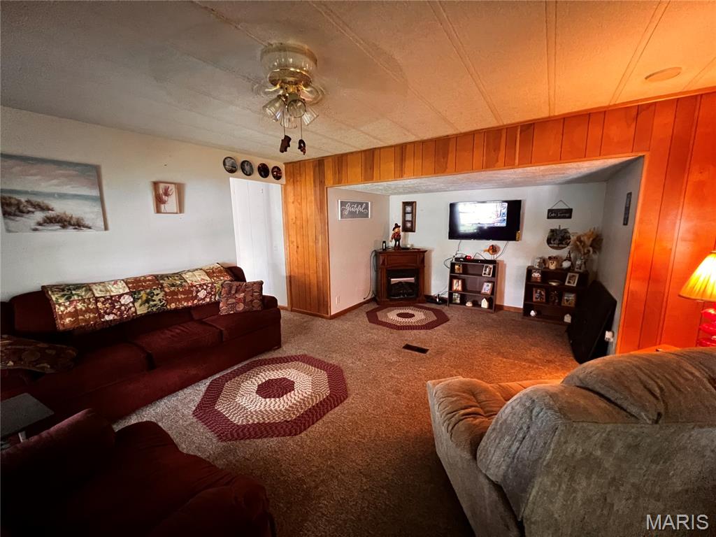 8360 Club Lane Alma, IL 62807 - Photo 11 of 24
