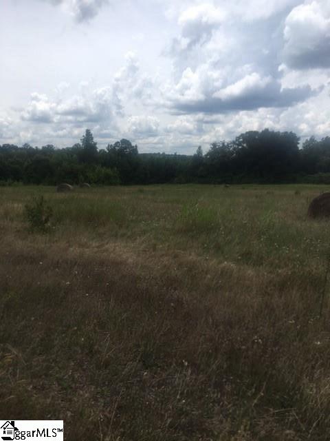 0 Frontage Road Fountain Inn, SC 29644 - Photo 3 of 3