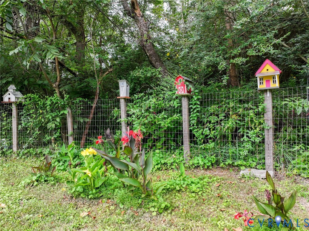 Backyard.