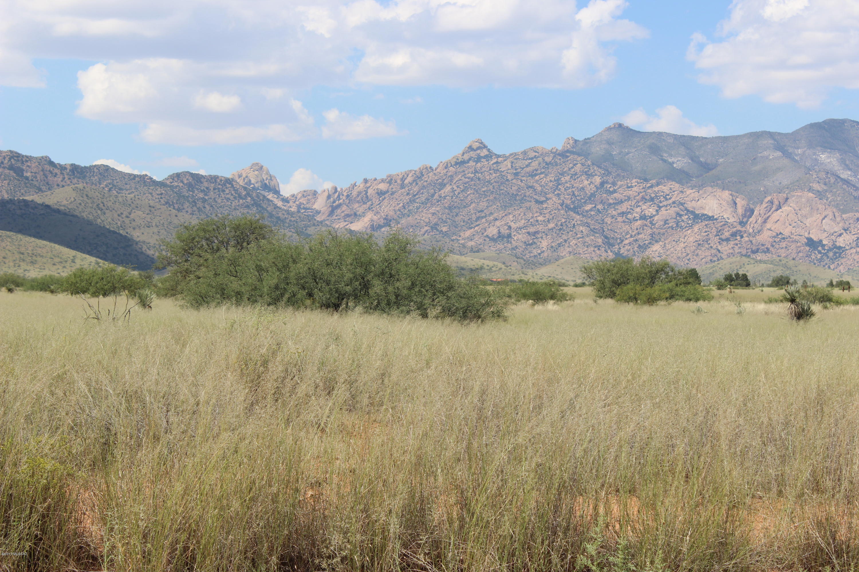 245 Willcox Road, Unit 256/2 Pearce, AZ 85625 - Photo 9 of 10