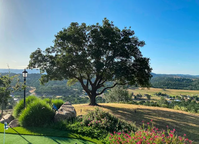 a backyard of a house with lots of green space