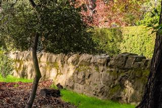 210 Uplands Drive Hillsborough, CA 94010 - Photo 12 of 12 a view of a yard