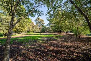 210 Uplands Drive Hillsborough, CA 94010 - Photo 6 of 12 a view of outdoor space with trees all around
