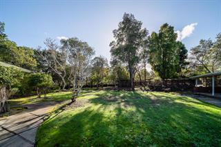 210 Uplands Drive Hillsborough, CA 94010 - Photo 10 of 12 a view of a park with large trees