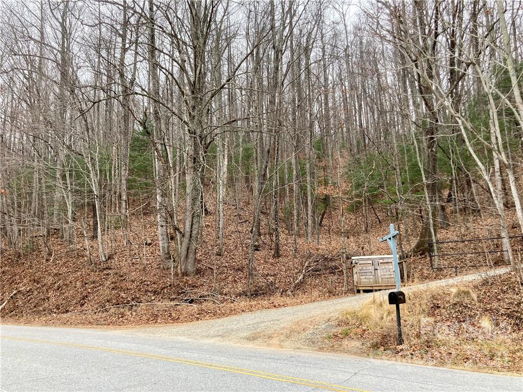 0 Mine Mountain Road, Unit 7 Saluda, NC 28773 - Photo 1 of 11 Gallery Image 1