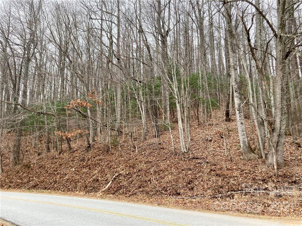 0 Mine Mountain Road, Unit 7 Saluda, NC 28773 - Photo 2 of 11 Gallery Image 2