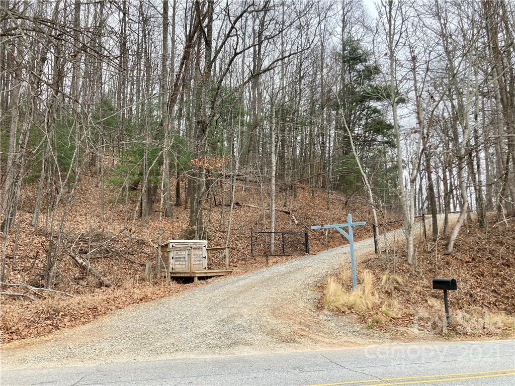 0 Mine Mountain Road, Unit 7 Saluda, NC 28773 - Photo 3 of 11 Gallery Image 3