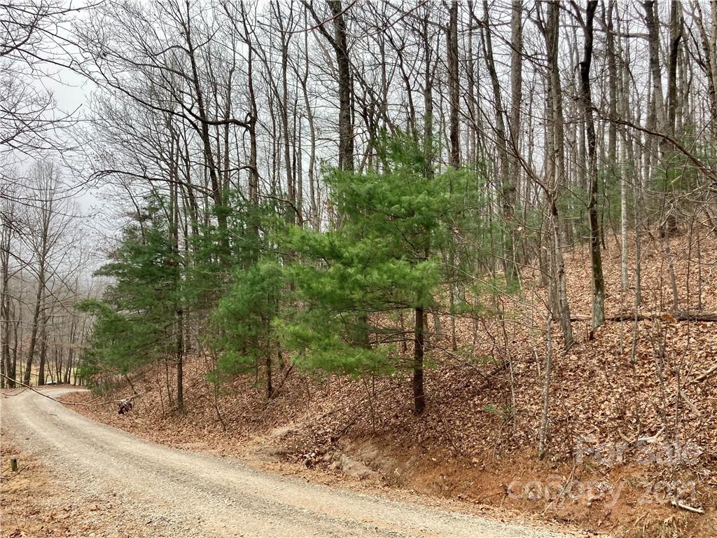 0 Mine Mountain Road, Unit 7 Saluda, NC 28773 - Photo 4 of 11 Gallery Image 4