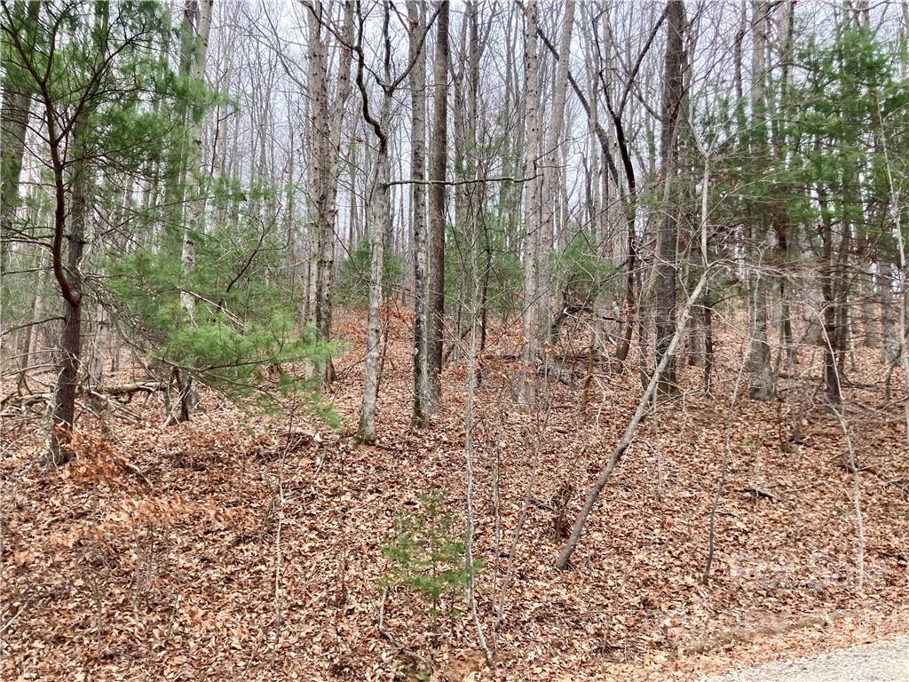 0 Mine Mountain Road, Unit 7 Saluda, NC 28773 - Photo 5 of 11 Gallery Image 5