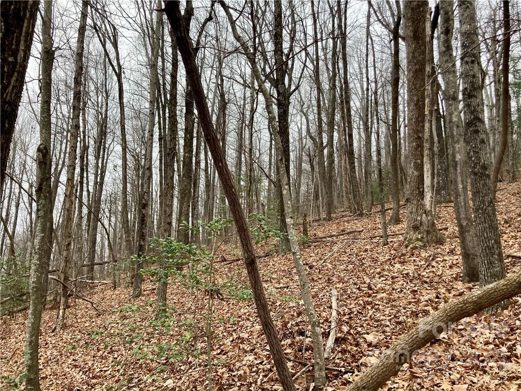 0 Mine Mountain Road, Unit 7 Saluda, NC 28773 - Photo 6 of 11 Gallery Image 6