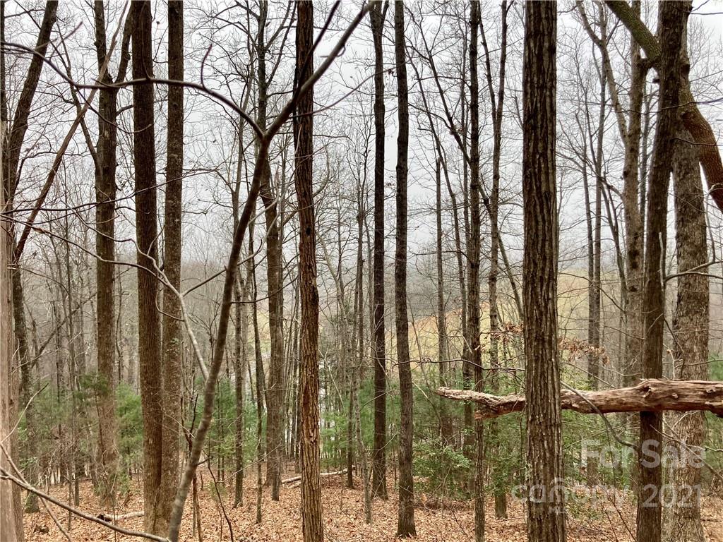 0 Mine Mountain Road, Unit 7 Saluda, NC 28773 - Photo 7 of 11 Gallery Image 7