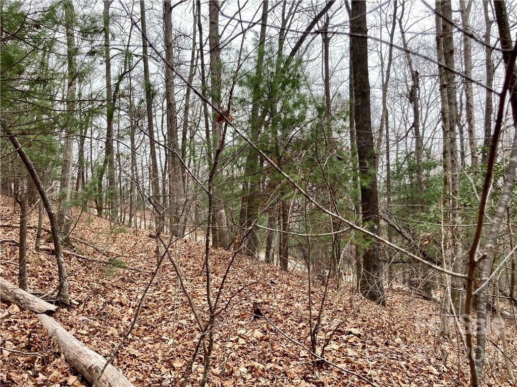 0 Mine Mountain Road, Unit 7 Saluda, NC 28773 - Photo 8 of 11 Gallery Image 8