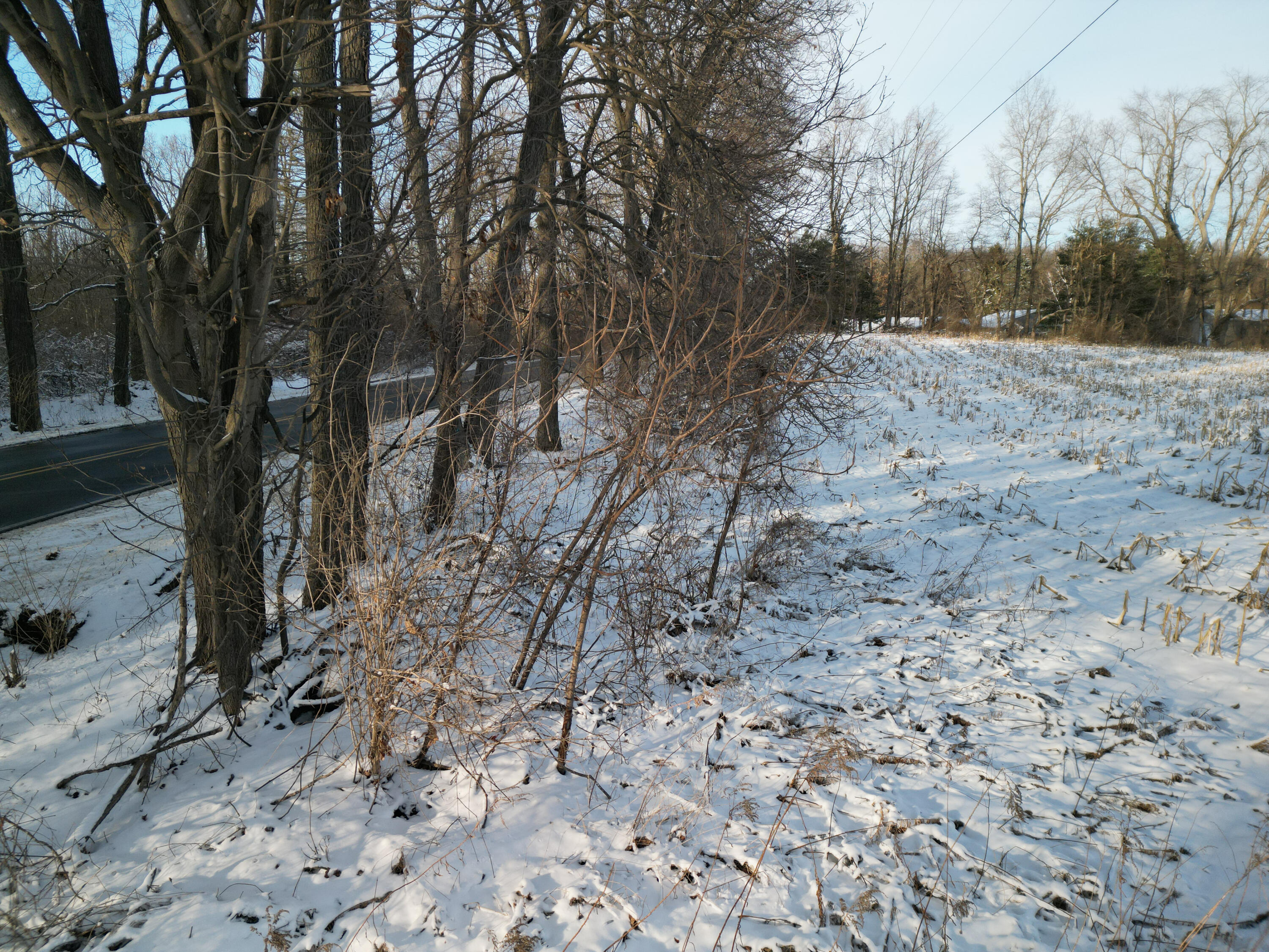 9317 Rountree Road Horton, MI 49246 - Photo 20 of 21 9100 Moscow Road 20