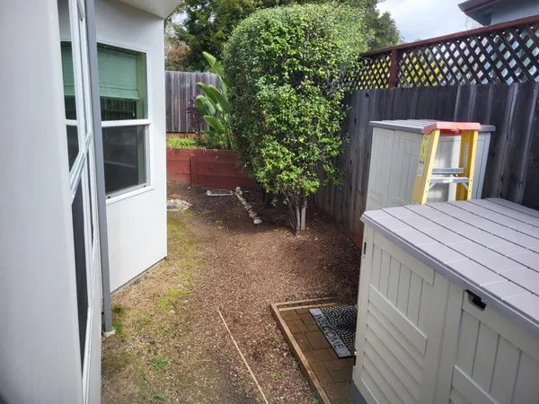 a view of a backyard with potted plants