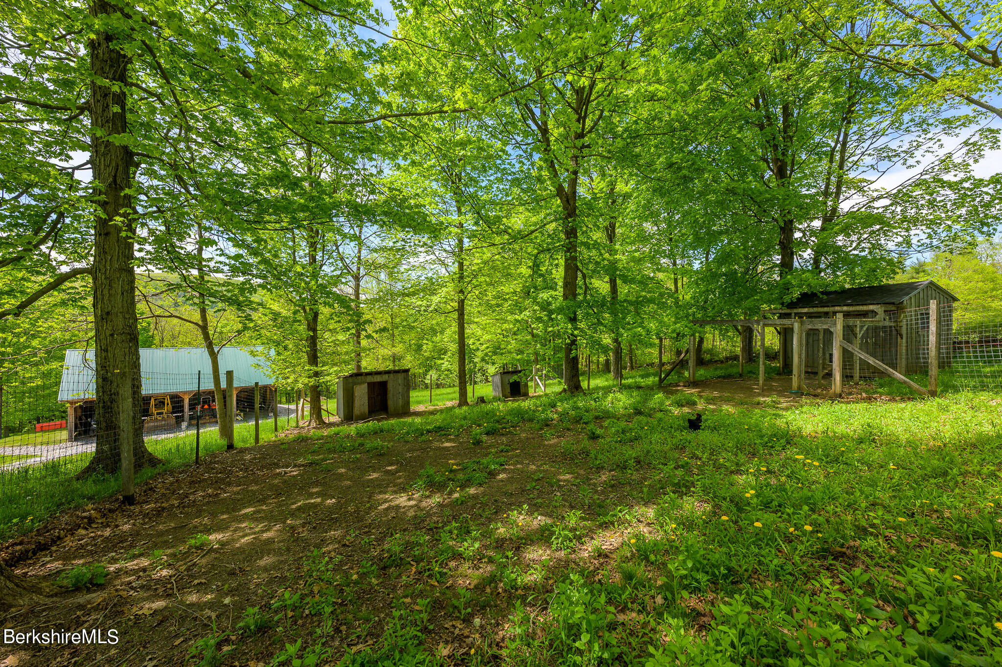 48 Maple Hill Road West Stockbridge, MA 01266 - Photo 8 of 32 a view of a backyard with a garden
