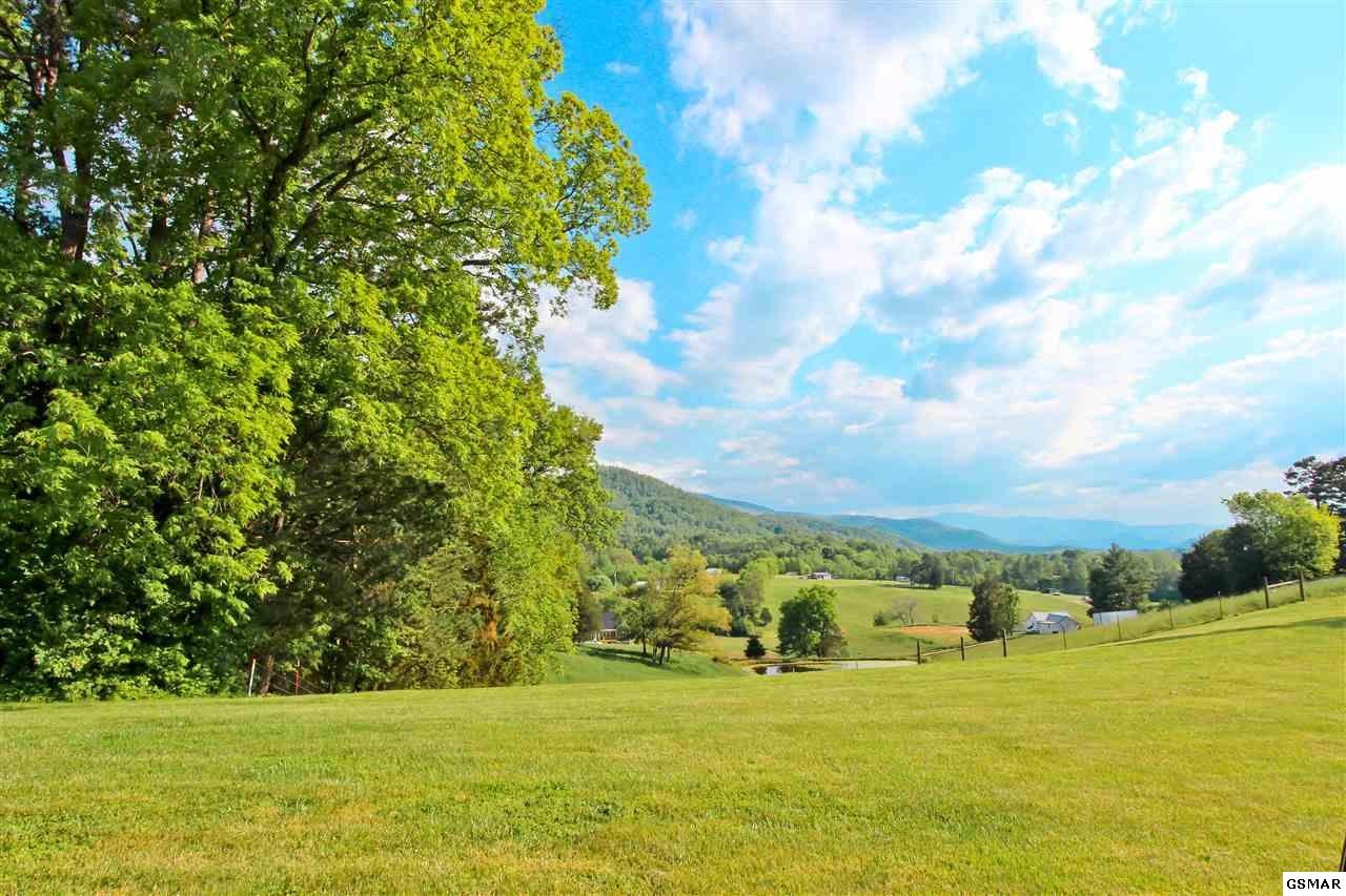 143 Tranquility Ridge Drive Newport, TN 37821 - Photo 1 of 20 Gallery Image 1