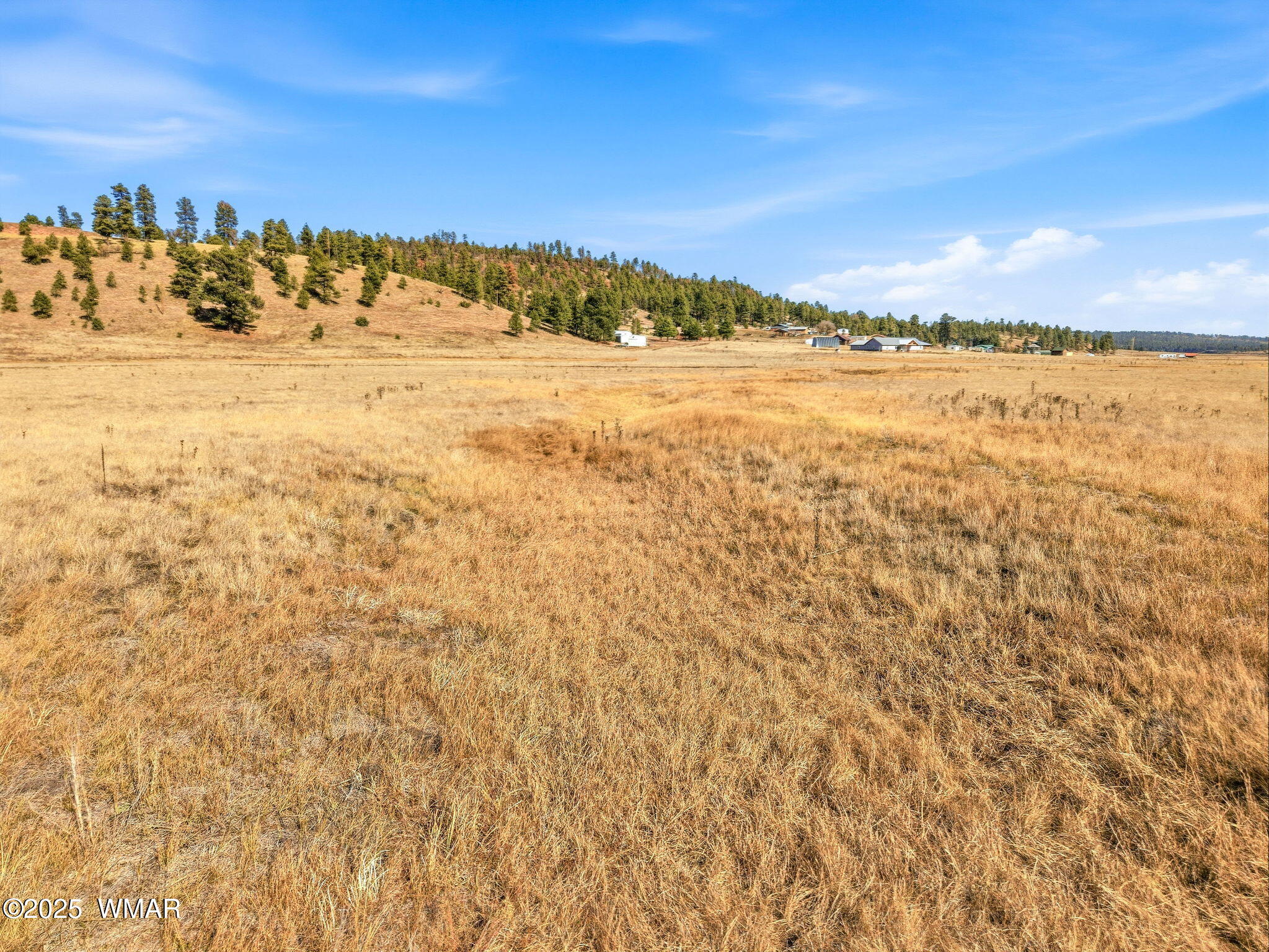 Lot 23 The Ranch Alpine, AZ 85920 - Photo 8 of 20 a view of an ocean beach