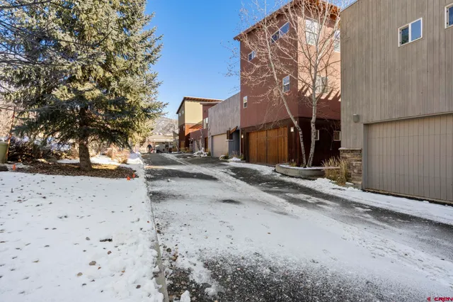 a view of a road with a large tree