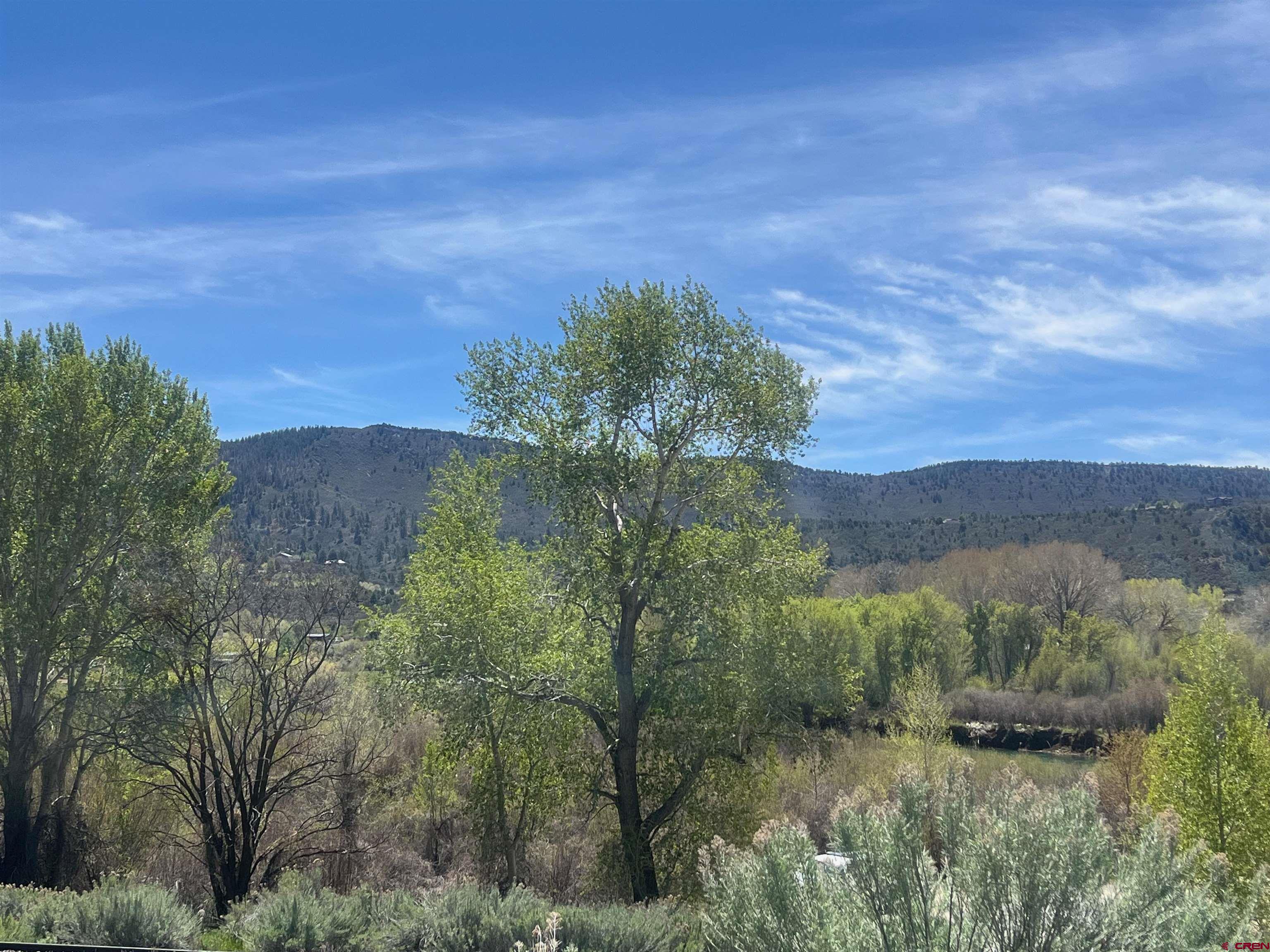 580 Animas View Drive, Unit 1 Durango, CO 81301 - Photo 5 of 36