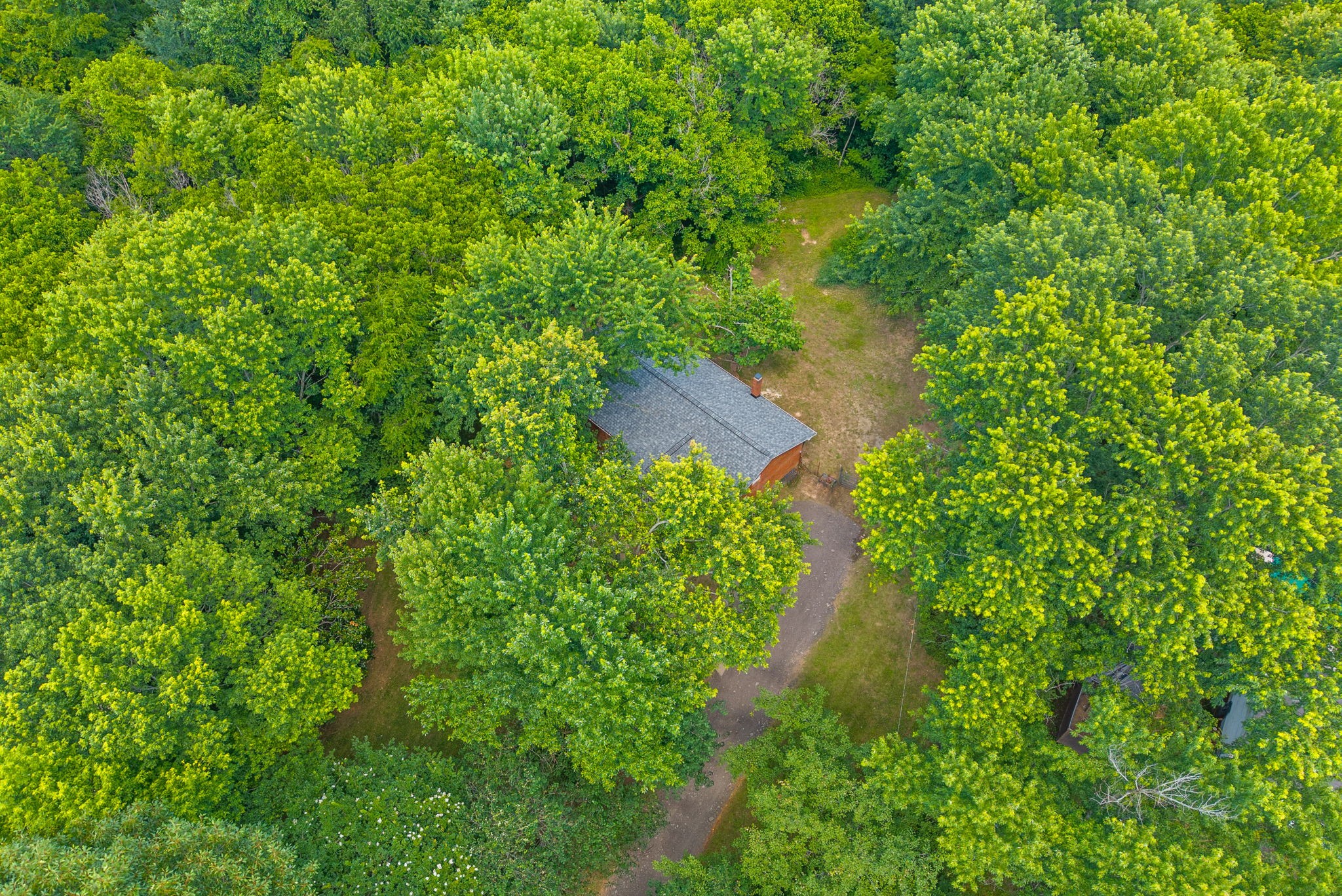 1011 Issac Clifton Road Chapmansboro, TN 37035 - Photo 28 of 34