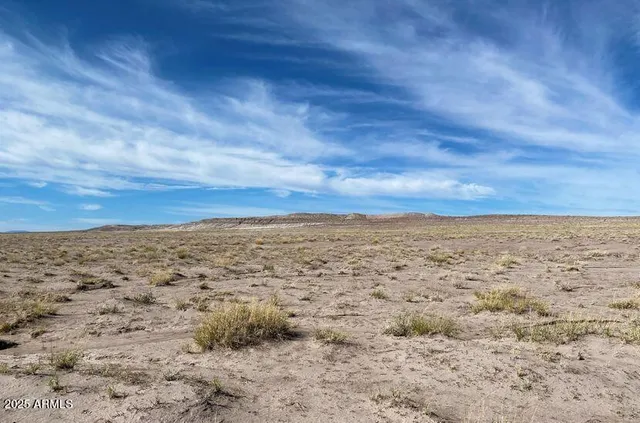 $9,947 | 29 Joseph City Tank Road, Joseph City, AZ 86032