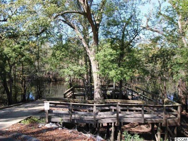 206 Rivers Edge Drive Conway, SC 29526 - Photo 35 of 38 Gallery Image 35