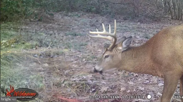 a close view of a sink