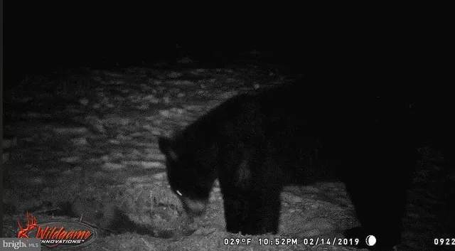 a view of a bathroom