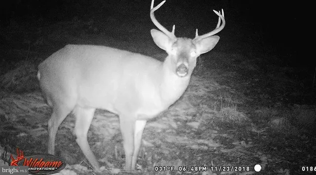 $89,900 | 33 Black Bear Trail, Loganton, PA 17747