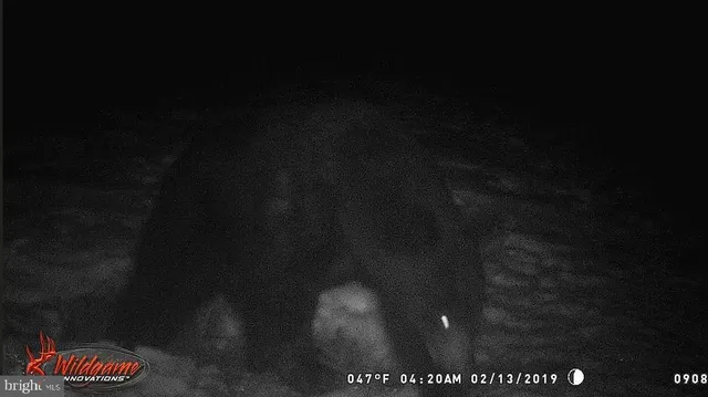 $89,900 | 33 Black Bear Trail, Loganton, PA 17747