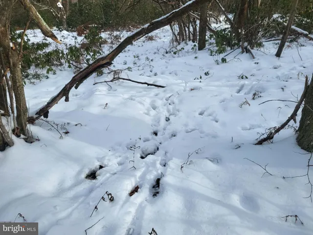 a view of wooden fence
