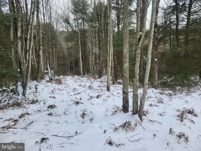 a view of outside space area