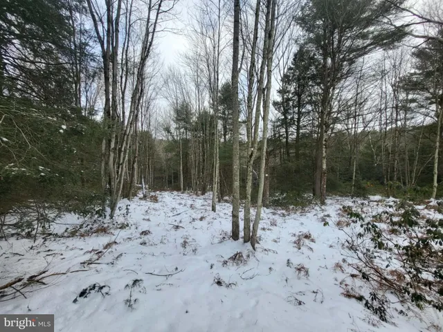 a view of a yard covered in snow
