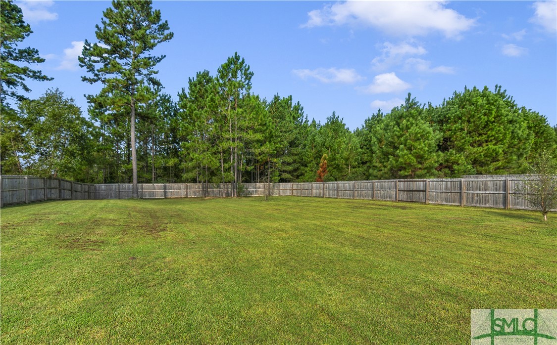 357 Deloach Road Northeast Ludowici, GA 31316 - Photo 29 of 32 Gallery Image 29