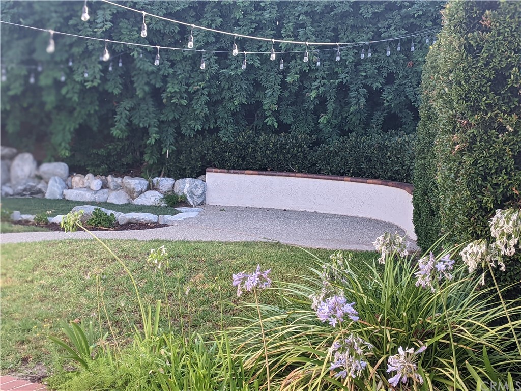 633 North Buttonbush Trail Orange, CA 92869 - Photo 23 of 26 a view of a yard with plants
