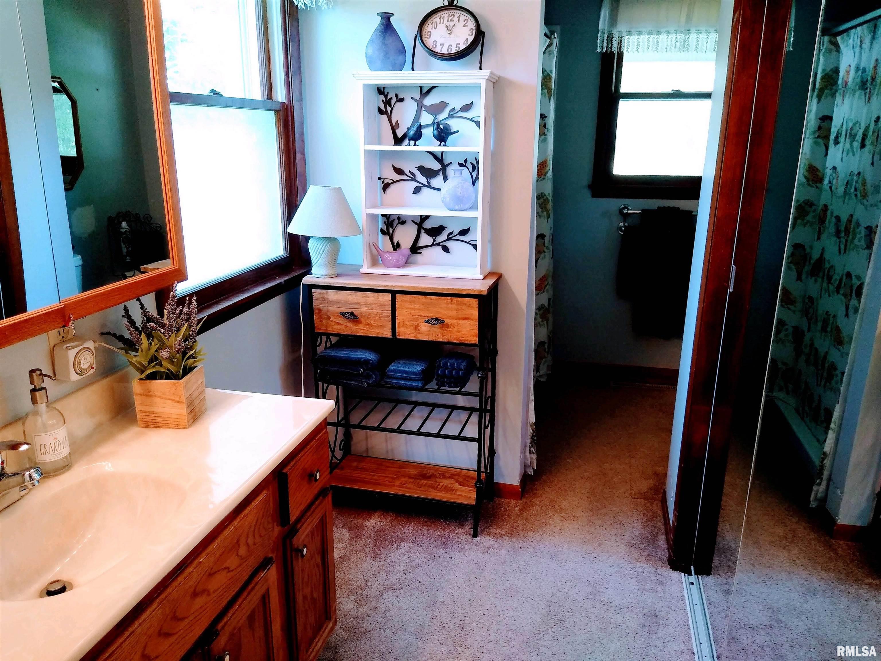 253 Water Tower Road Stonefort, IL 62987 - Photo 17 of 65