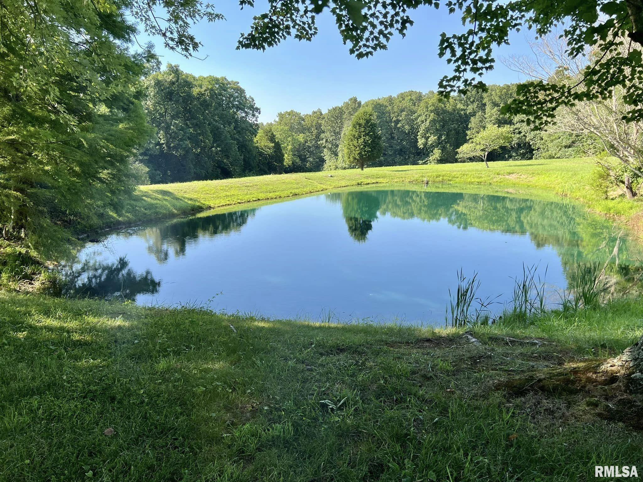 253 Water Tower Road Stonefort, IL 62987 - Photo 27 of 65