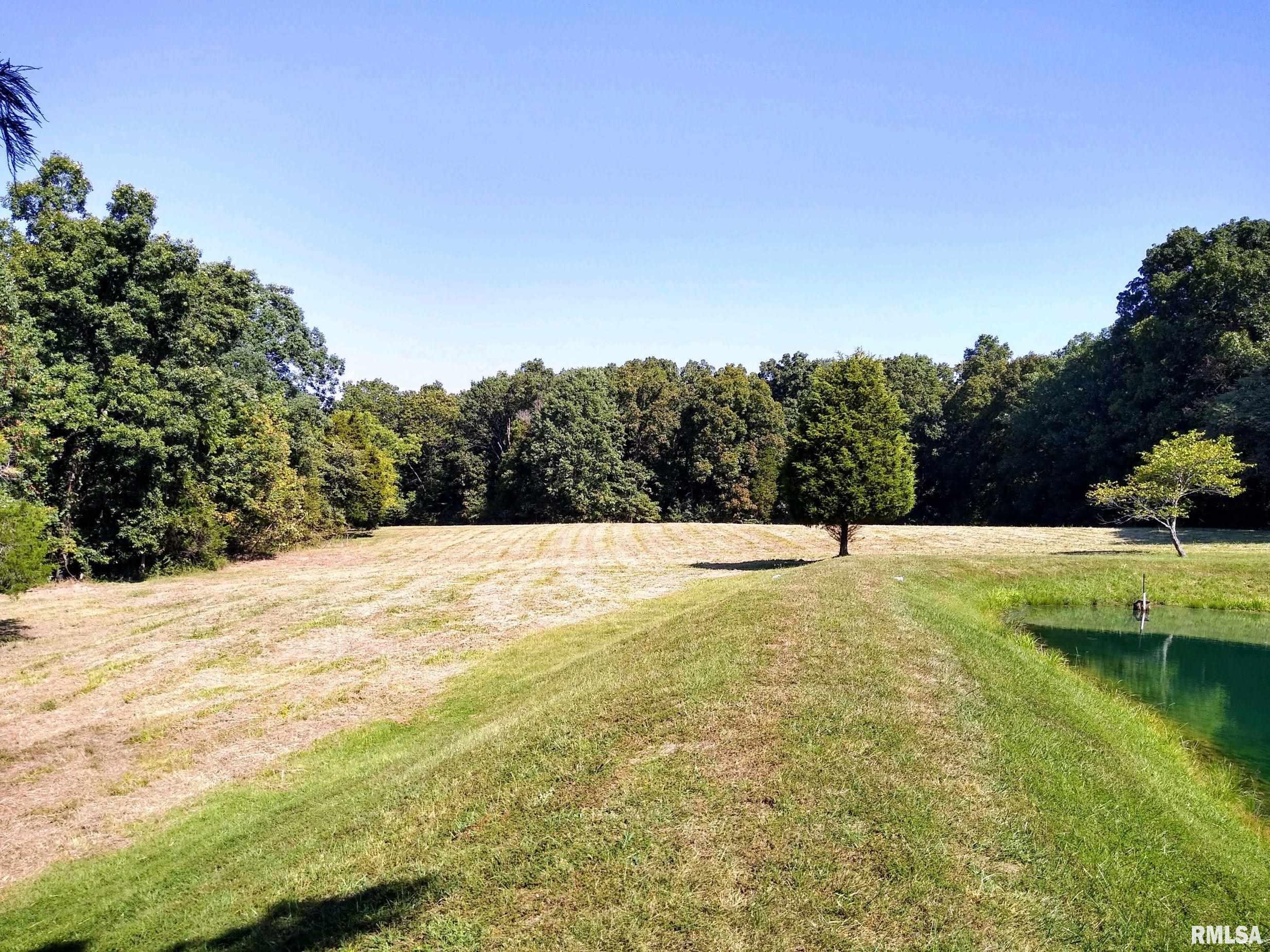 253 Water Tower Road Stonefort, IL 62987 - Photo 30 of 65