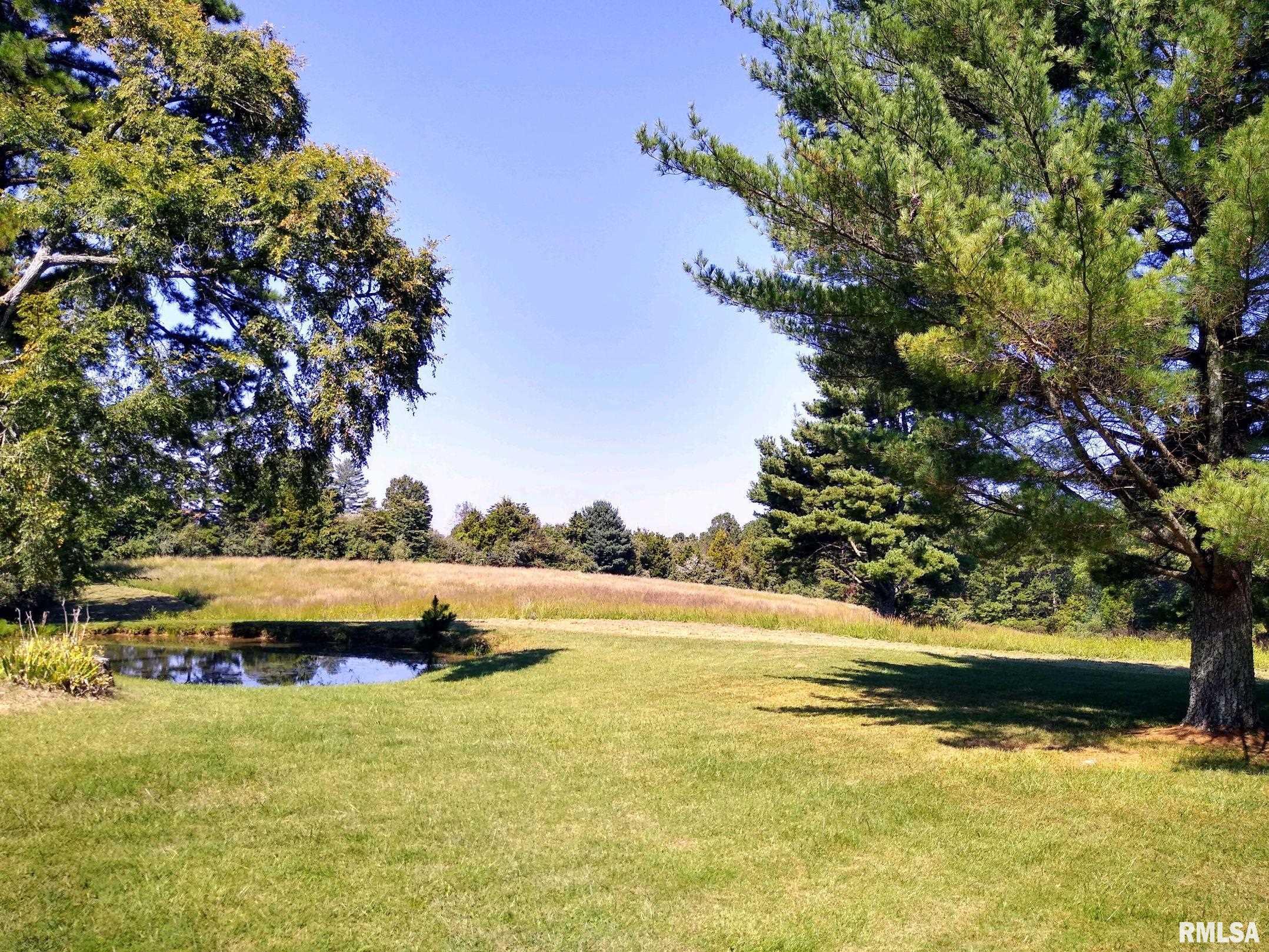 253 Water Tower Road Stonefort, IL 62987 - Photo 36 of 65