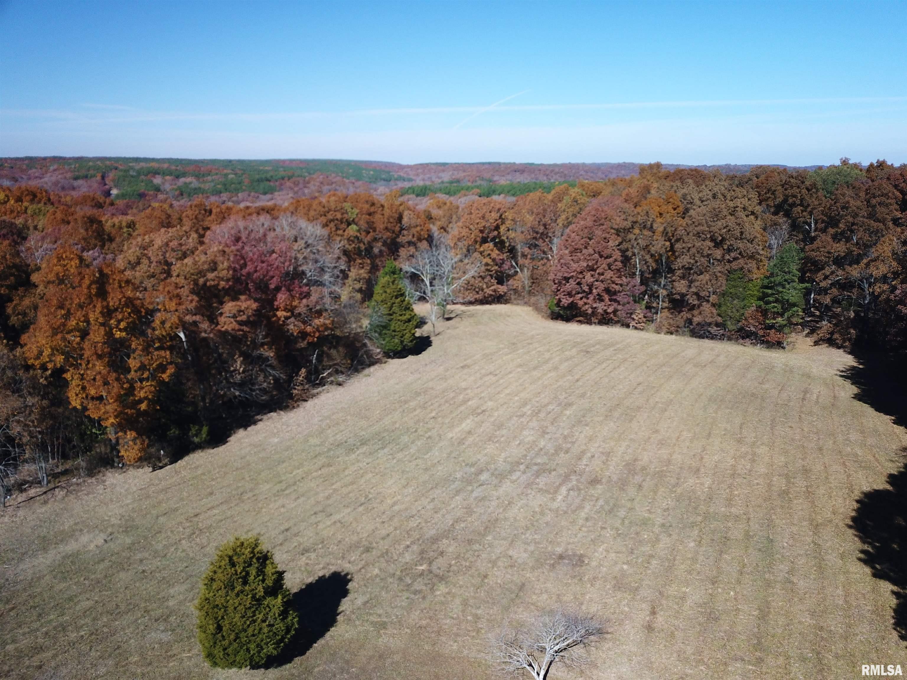 253 Water Tower Road Stonefort, IL 62987 - Photo 45 of 65