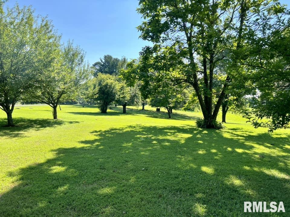 253 Water Tower Road Stonefort, IL 62987 - Photo 5 of 65