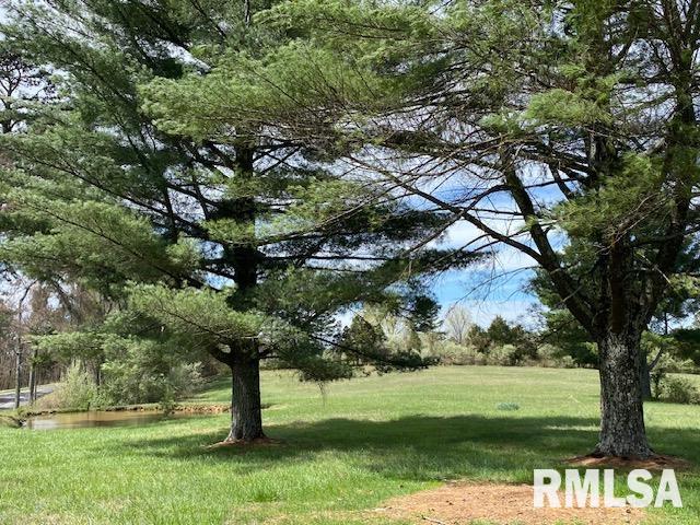 253 Water Tower Road Stonefort, IL 62987 - Photo 57 of 65