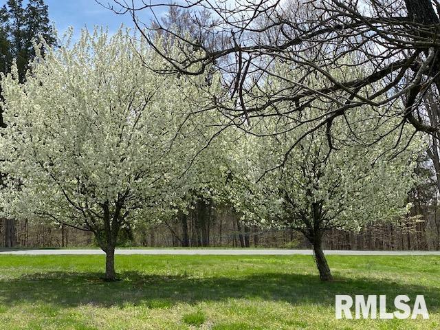 253 Water Tower Road Stonefort, IL 62987 - Photo 60 of 65