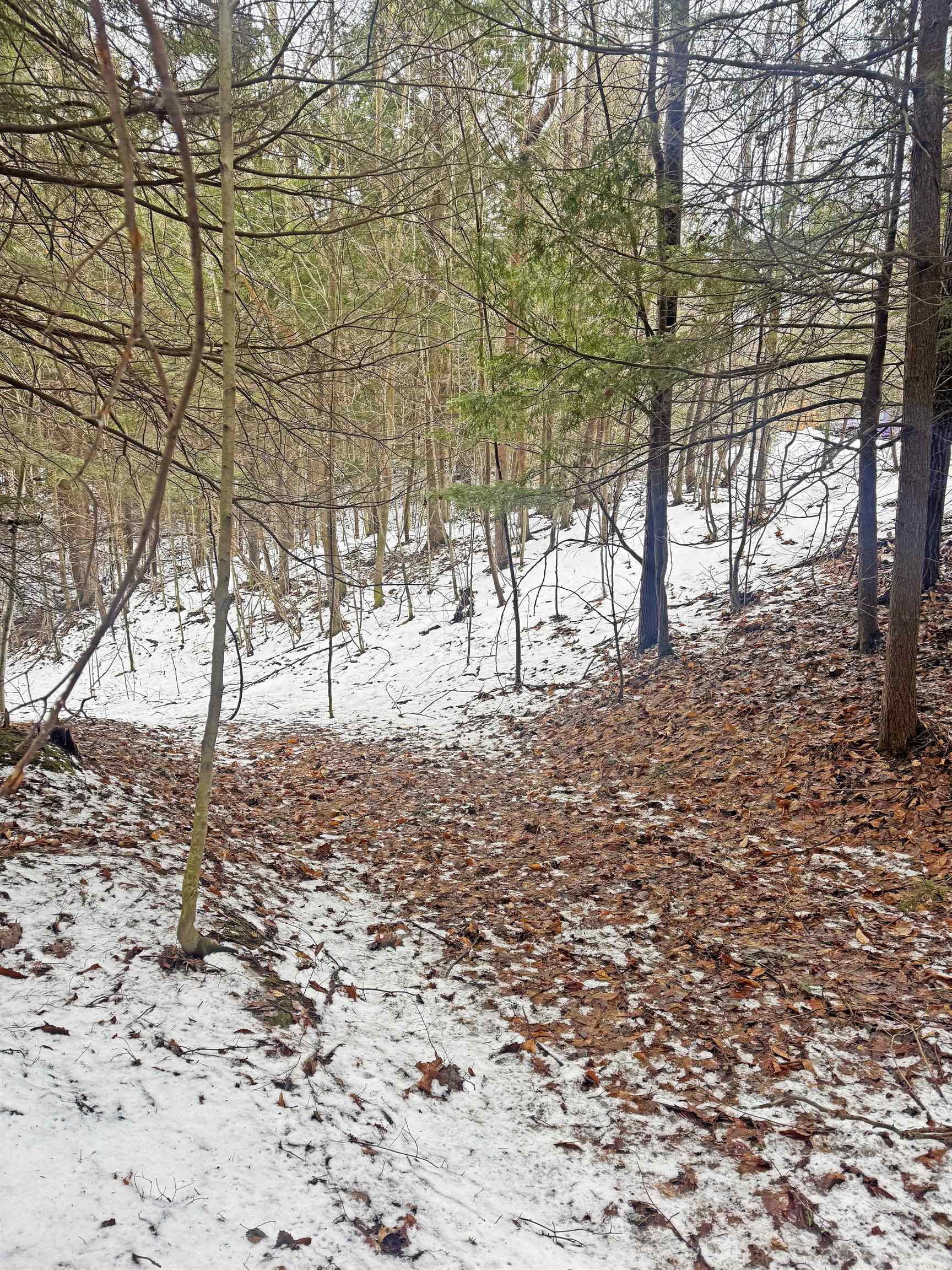 82-107 Moon Ridge Road, Unit LOT: 82,107 Onekama, MI 49675 - Photo 40 of 48
