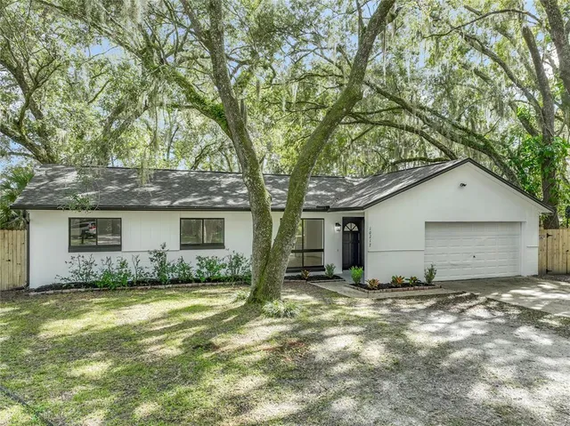 a view of a house with a yard and large tree