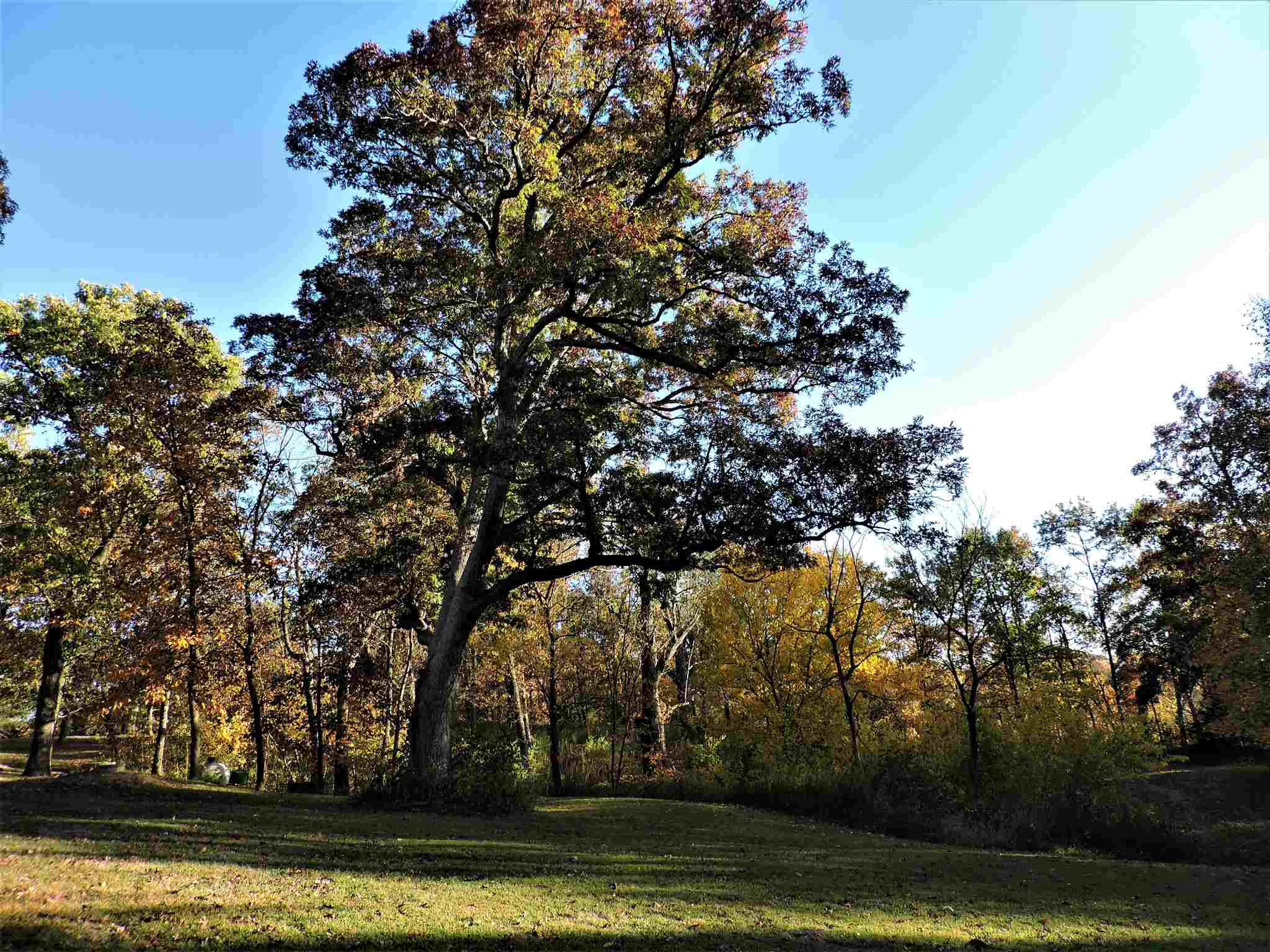 15917 Parks School Road Brimfield, IL 61517 - Photo 42 of 49 Gallery Image 42